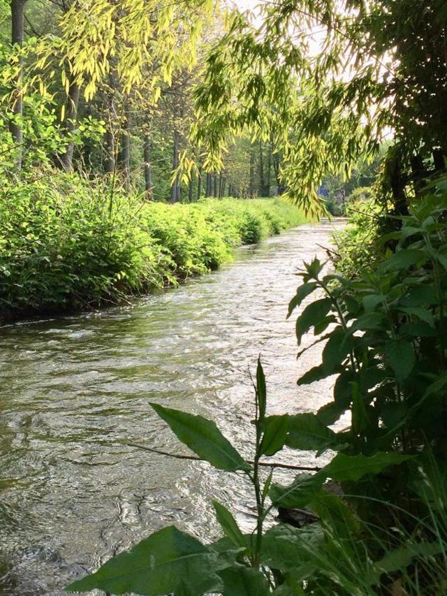 مبيت وإفطار Fontaine-sur-Ay Le Clos De La Livre المظهر الخارجي الصورة